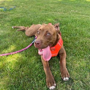 Meet your Posher, Dustyn